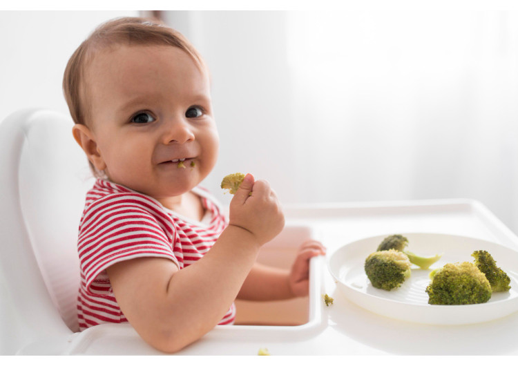 Transición a sólidos: los bebés interpretan el mordedor como comida Transición a sólidos: los bebés interpretan el mordedor como comida